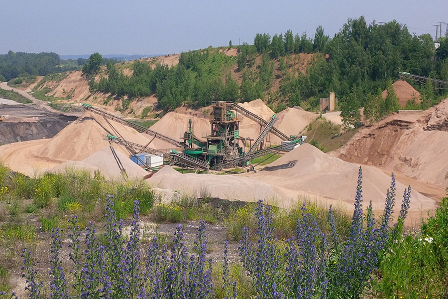 Kiesgrube Rochlitz Kiesgewinnung